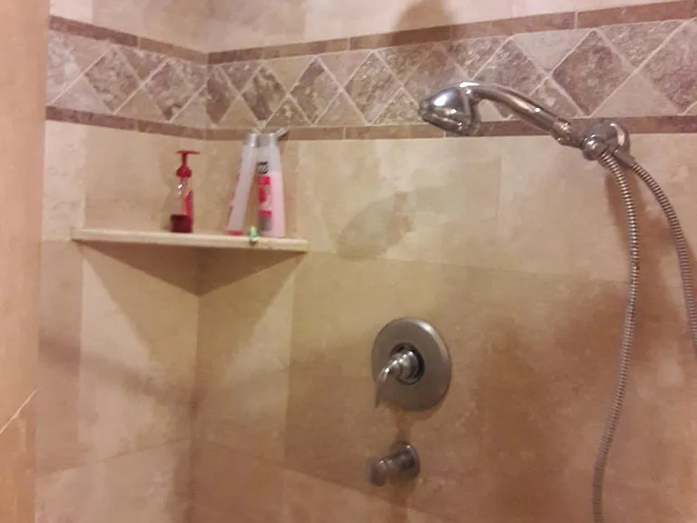 Downstairs Grandmaster Shower