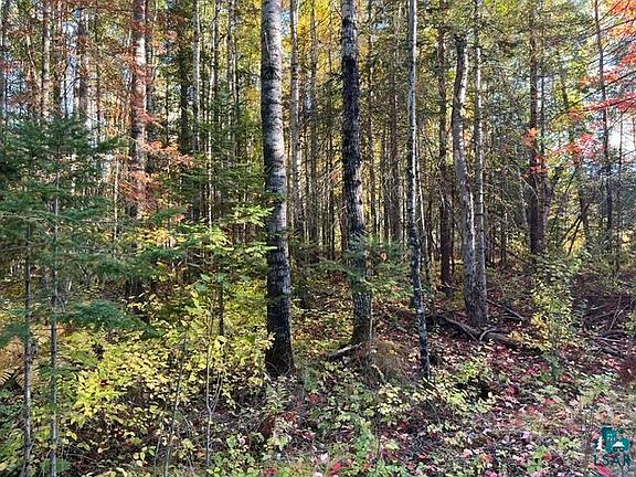 5th image of TBD Lost Lake Rd