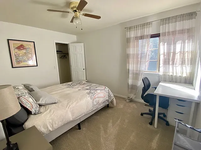 10 Langley Pl — Photo 17