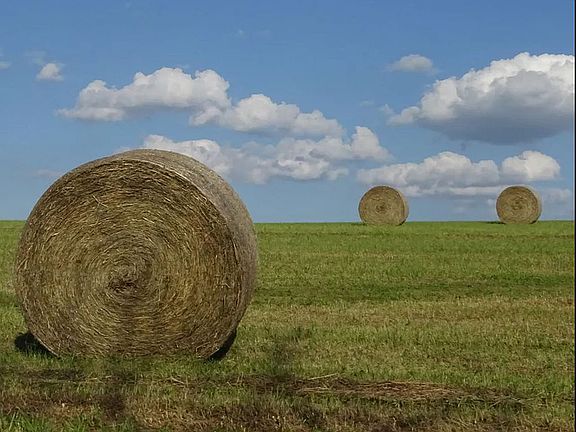 Produces approximately 100 bails