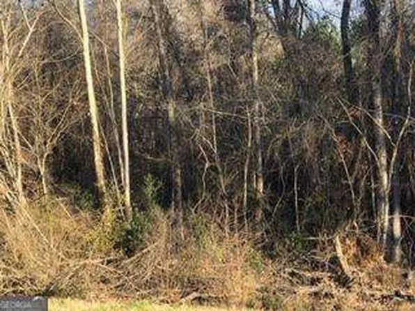 0 State Highway 135, Uvalda, GA 30473