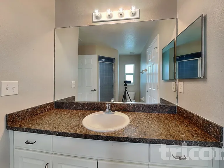 1119 Shared Passion St — Photo 11