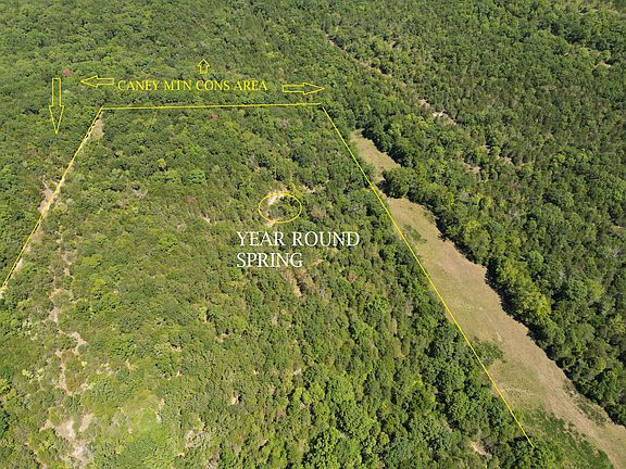 5th image of 52 White Star Road Co Rd 931