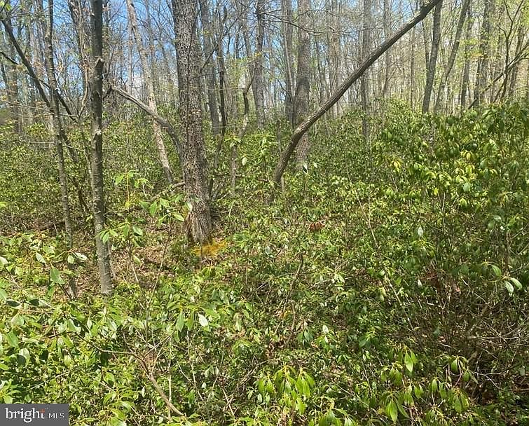 2nd image of Buck Dr