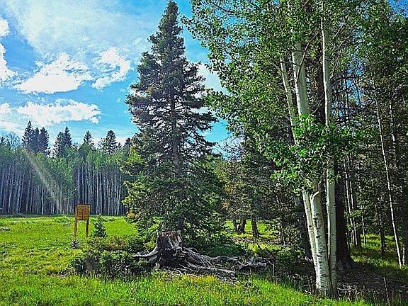 2nd image of 160 Lake Road