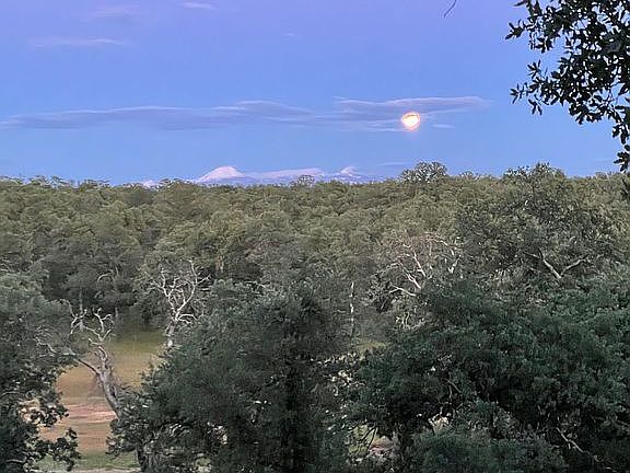 View from covered porch