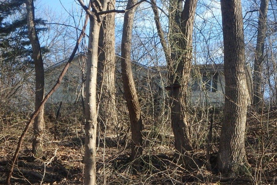 2nd image of 198 Orchard Tree Dr
