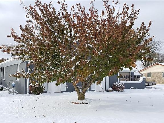 3rd image of 46 Littlejohn Rd
