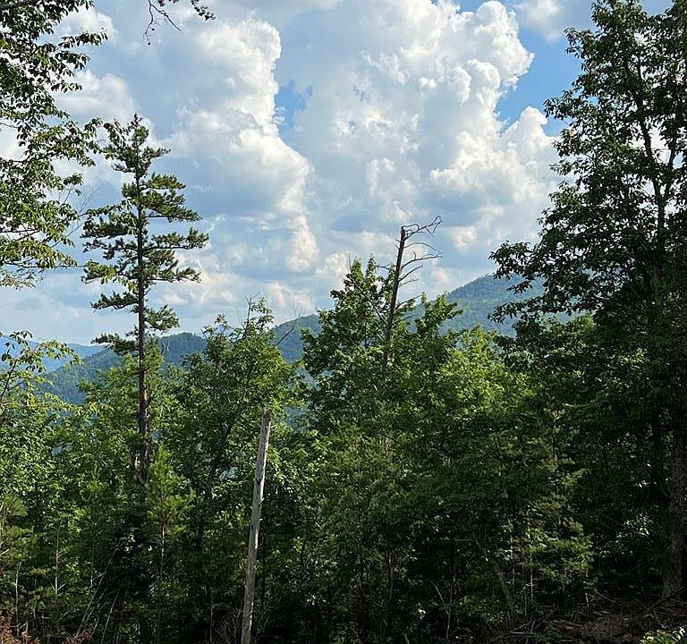 Honey Ln, Del Rio, TN 37727 MLS 608935 Zillow