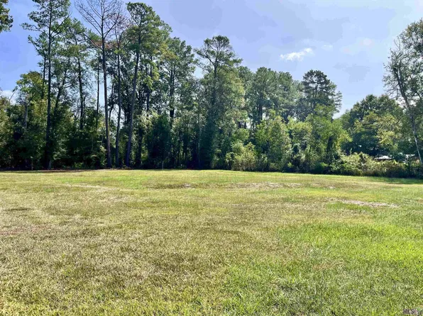 26802 Pen Dr, Walker, LA 70785