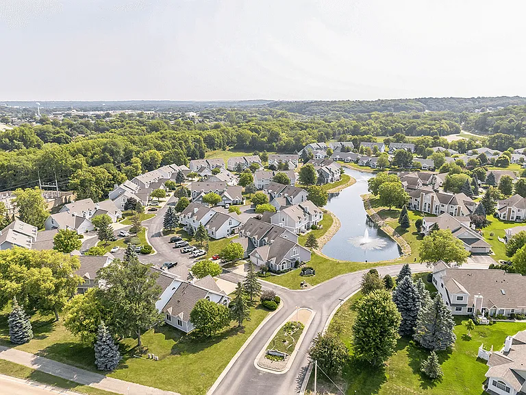 A Bird's Eye View