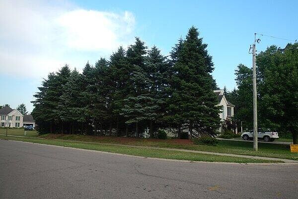 1st image of Vl South Demorrow Rd