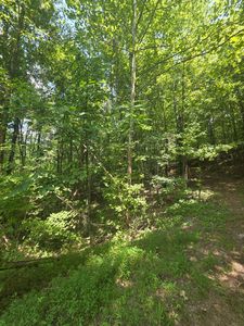 394 Quill Dr NW, Cleveland, TN, 37311
