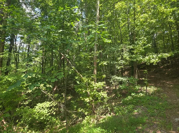 394 Quill Dr NW, Cleveland, TN 37311