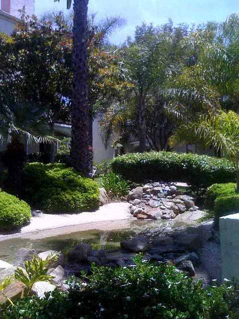 Community Pool/Spa — Photo 1
