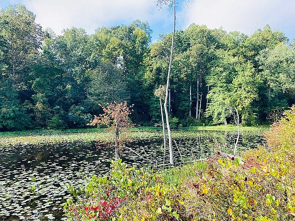 Privacy 1100+ Water Ftont