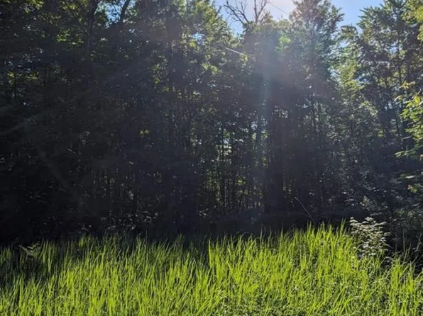 8395 Autumn Dr, Saint Helen, MI 48656