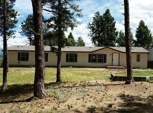 463 Bear Creek Dr, Florissant, CO 80816