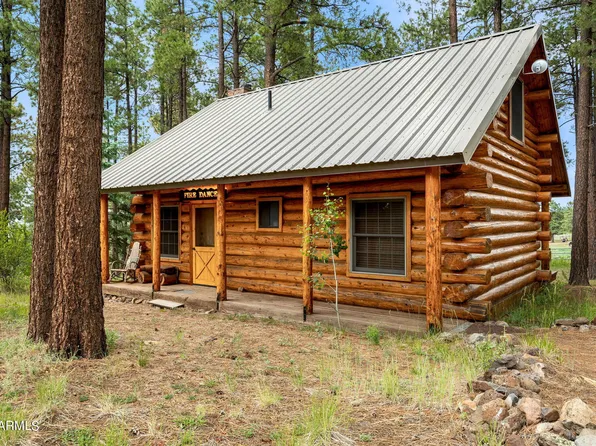 81 N COUNTY ROAD N1330 Road N, Greer, AZ 85927