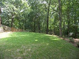 Beautiful level back yard