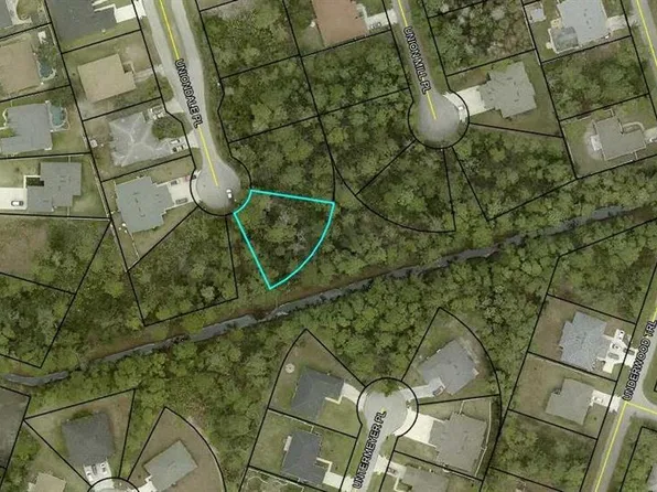 31 Uniondale Pl Lot 20, Palm Coast, FL 32164