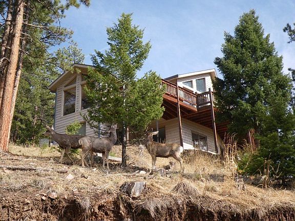 Four-legged forest friends frequently forage the flora.