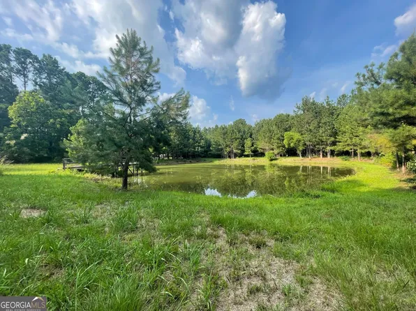 0 Goins Rd, Wrightsville, GA 31096