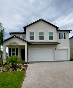 18141 Serene Lake Loop, Lutz, FL, 33548