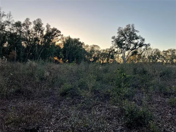 0 NW 70th Ave, Alachua, FL 32615