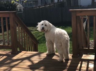 19 Trafton Rd, Framingham, MA 01702