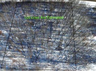 Forest Dr #2, Amherst Junction, WI 54407