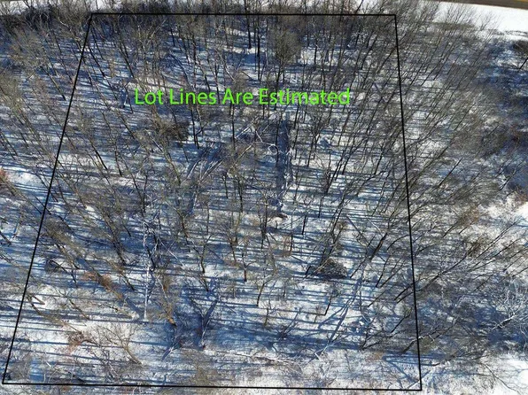 Forest Dr #2, Amherst Junction, WI 54407