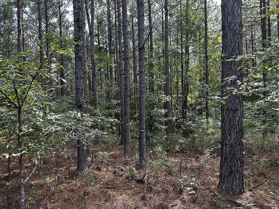 0 Johnson Crossroads Rd, Jacks Creek, TN 38347 MLS 2581554 Zillow