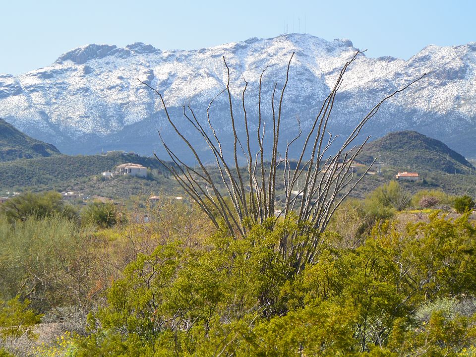 Looking S.W. Tucson Mountain