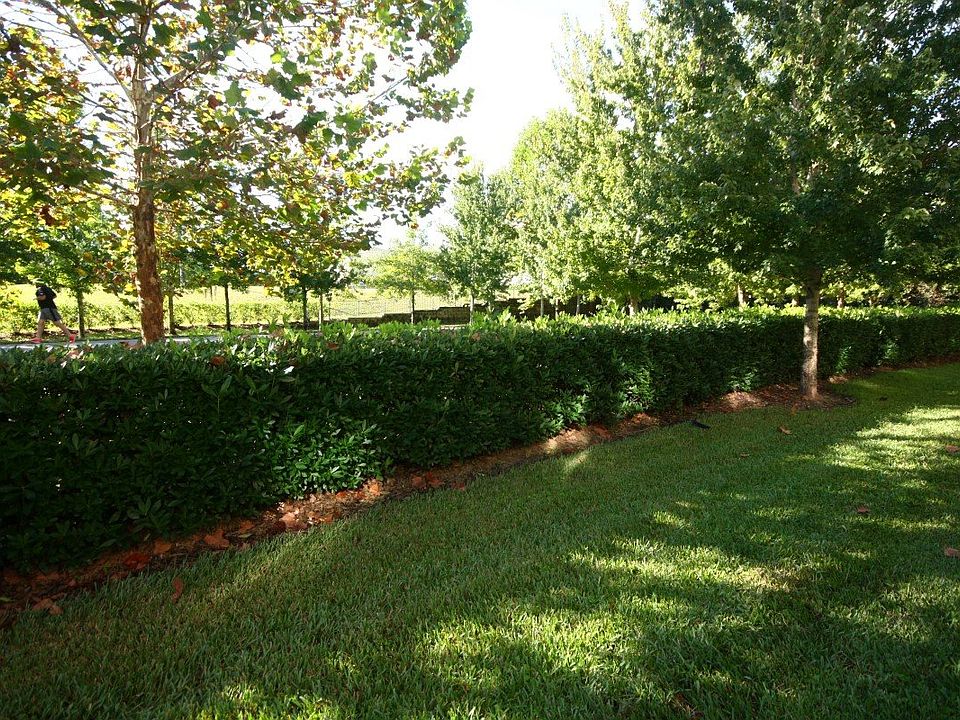 1st image of 5167 Sabal Branch Cv