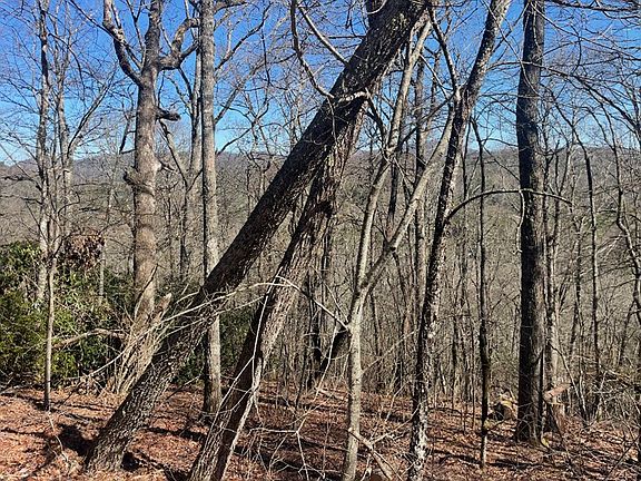 3rd image of 43A Hudson Road