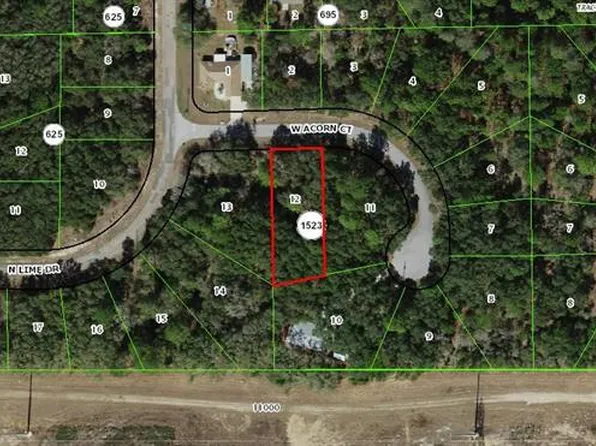 2866 W Acorn Ct Lot 12, Dunnellon, FL 34433