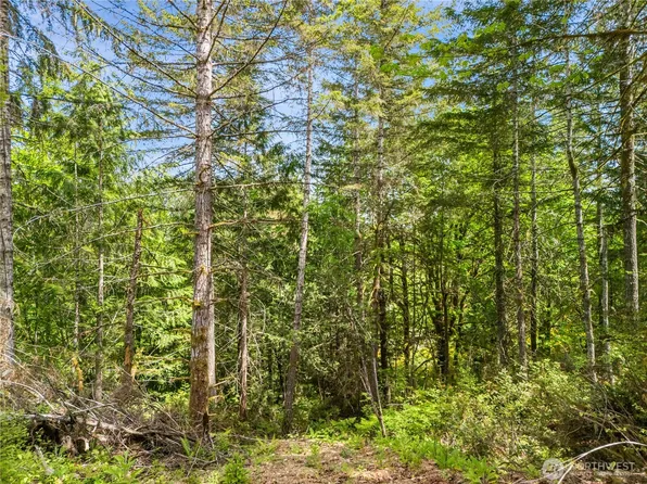 0 E Gerbing View Drive, Union, WA 98592