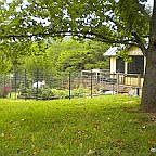 Vegetable garden spot