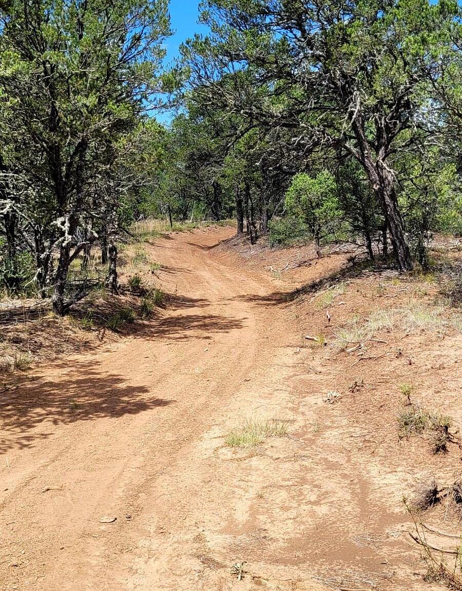 0 Juan Tomas Rd, Tijeras, NM 87059 Zillow