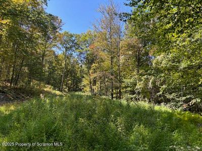 Lower Mill City Rd, Dalton, PA, 18414