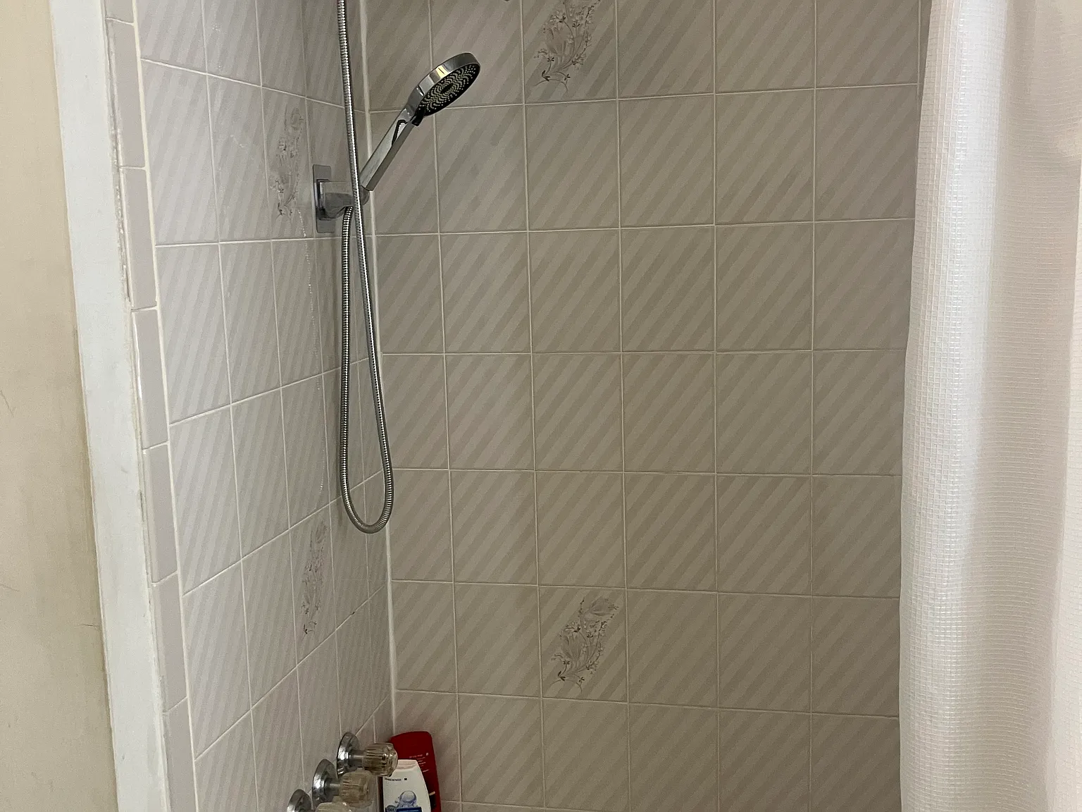 1 bed, 1000 sqft, $1,095 — Photo 4