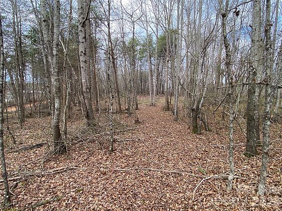 4th image of 0 Painter Rd