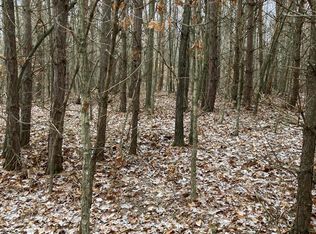 16350 W Tamarack Rd, Howard City, MI 49329