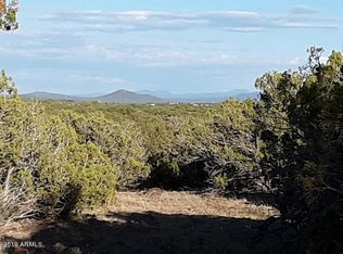 8182 Well Rd, Show Low, AZ 85901