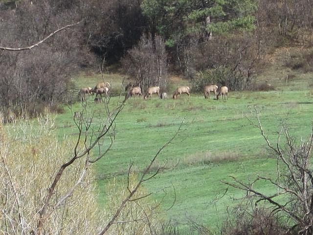 1st image of 1869 County Road 326
