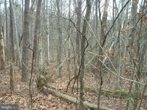 Willow Ln Lot 108, Mount Jackson, VA 22842