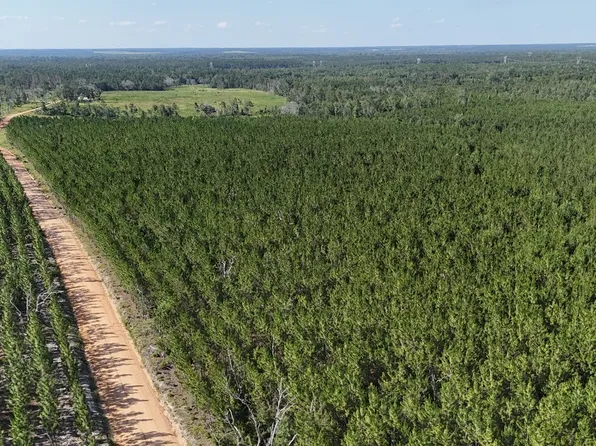 0 Penny Morris Rd, Baxley, GA 31513