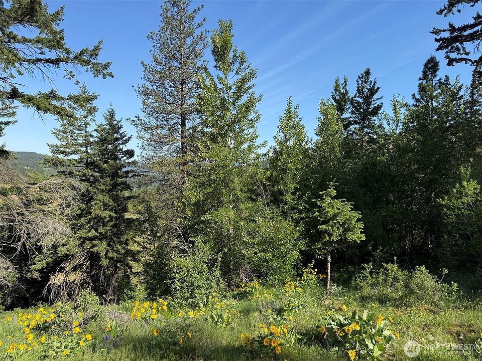 1st image of 17 XX Twin Lakes Road