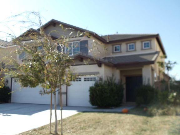 Front yard